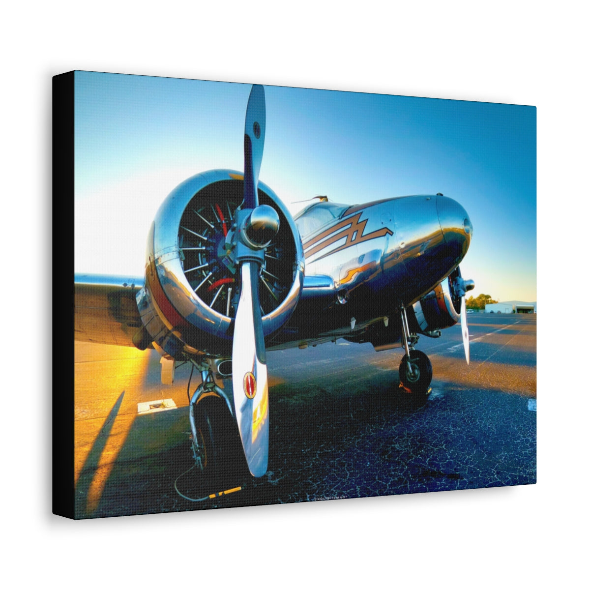 EXQUISITEMAD Signature Airplane Wall Art Canvass