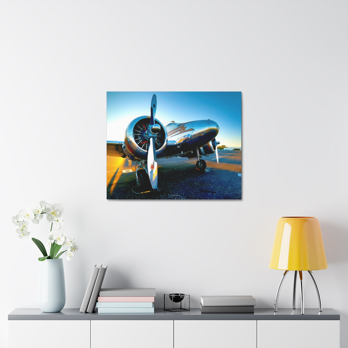 EXQUISITEMAD Signature Airplane Wall Art Canvass