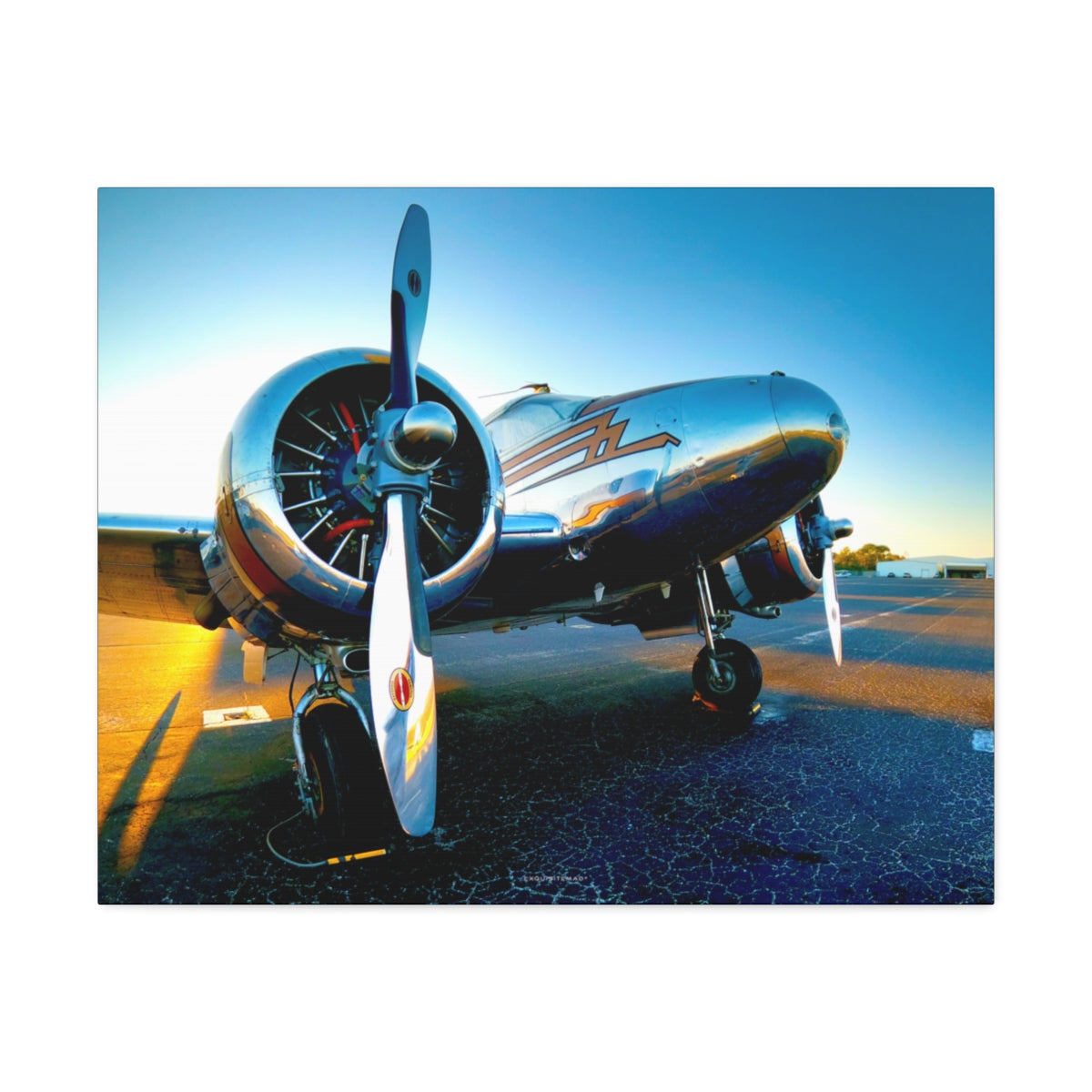 EXQUISITEMAD Signature Airplane Wall Art Canvass