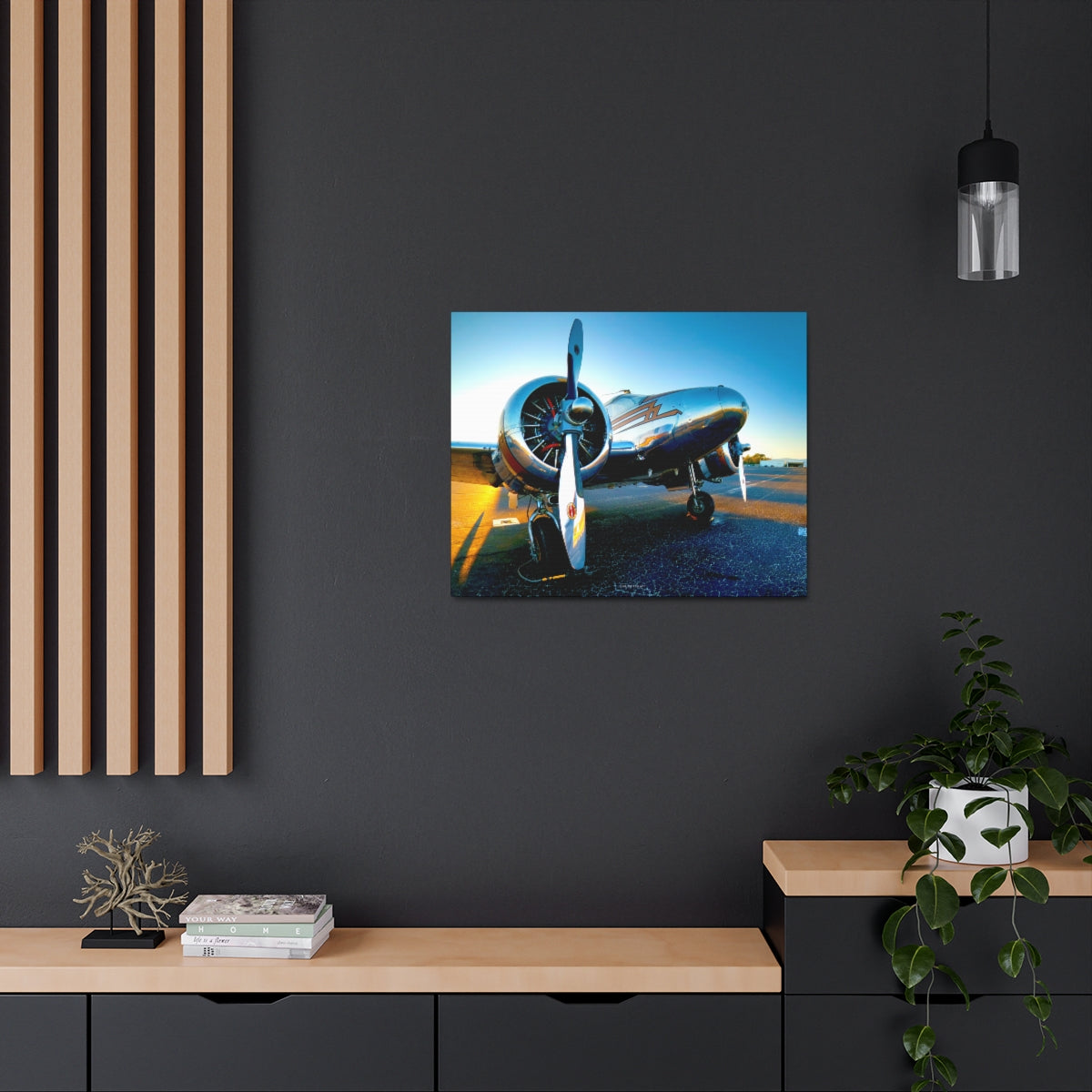 EXQUISITEMAD Signature Airplane Wall Art Canvass