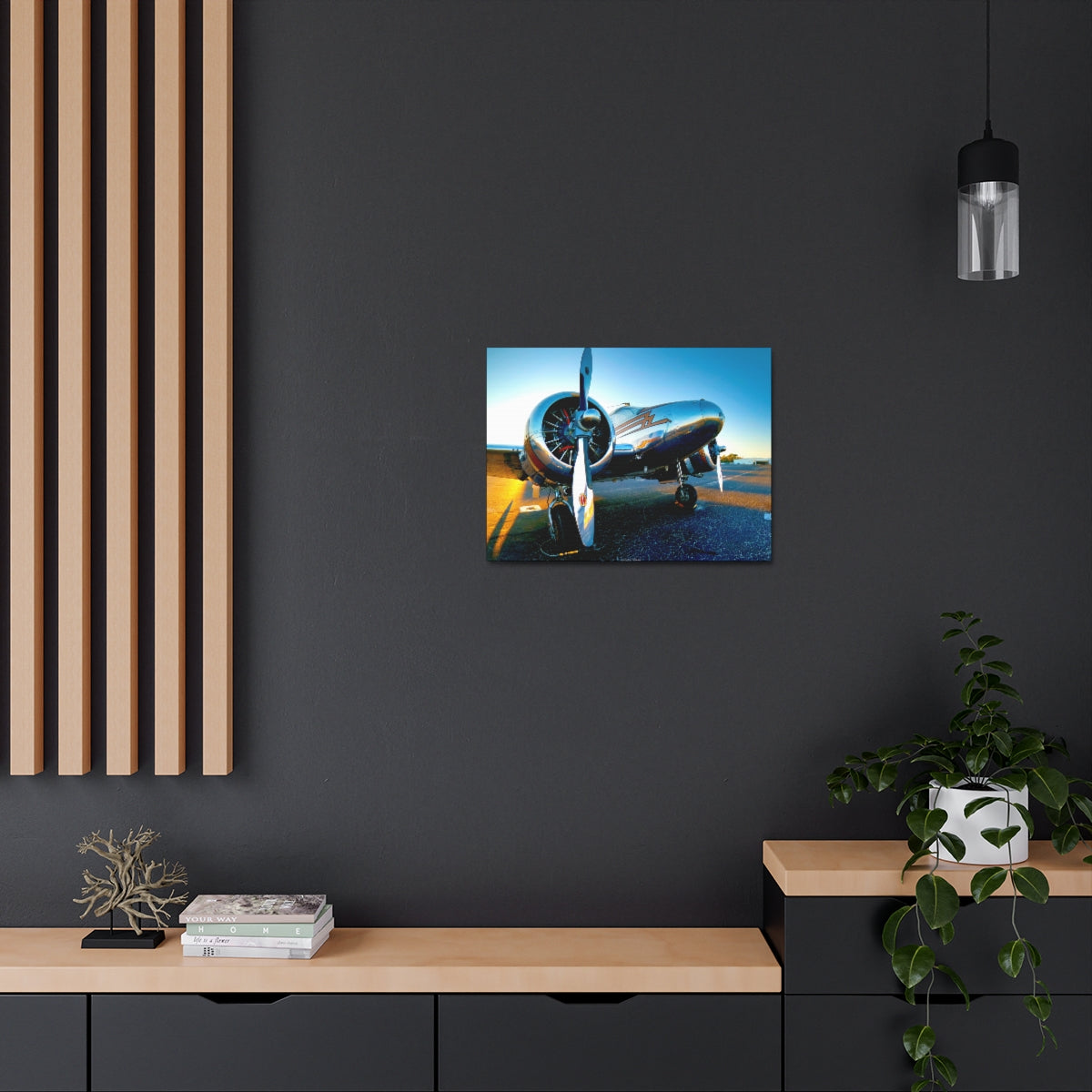 EXQUISITEMAD Signature Airplane Wall Art Canvass