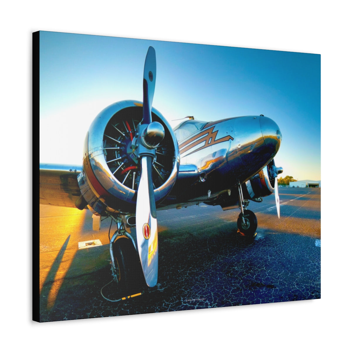 EXQUISITEMAD Signature Airplane Wall Art Canvass