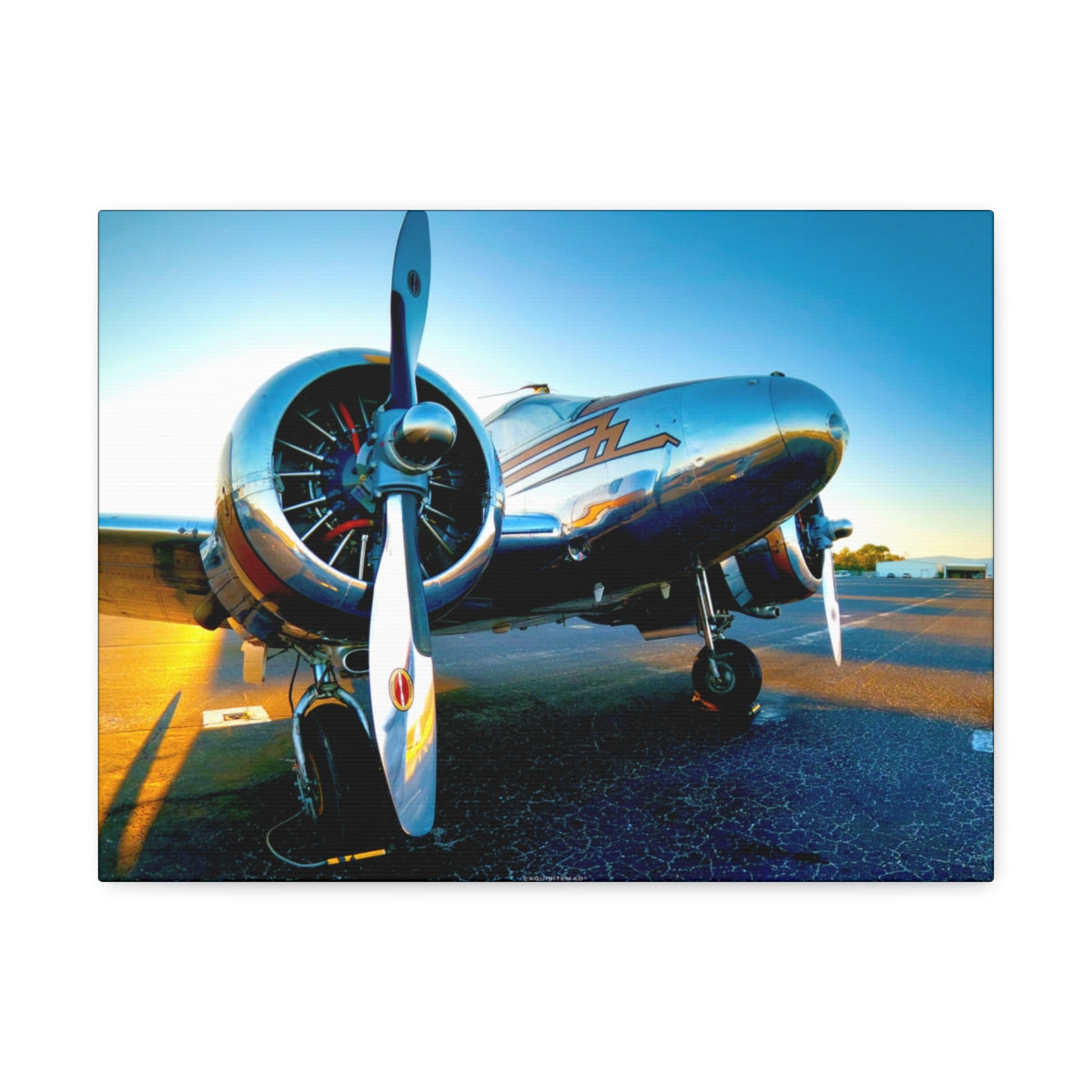 EXQUISITEMAD Signature Airplane Wall Art Canvass